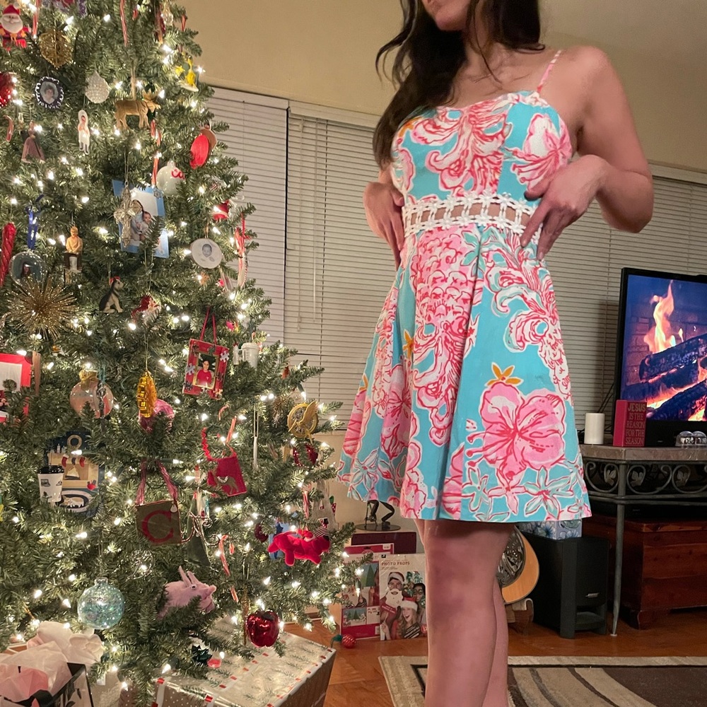 Lilly Pulitzer size 2 dress